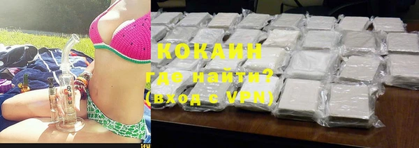 индика Богородск