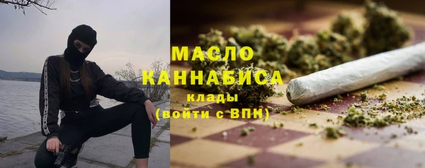 индика Богородск