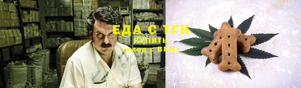 первитин Богородицк