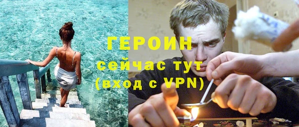 индика Богородск