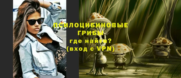 первитин Богородицк