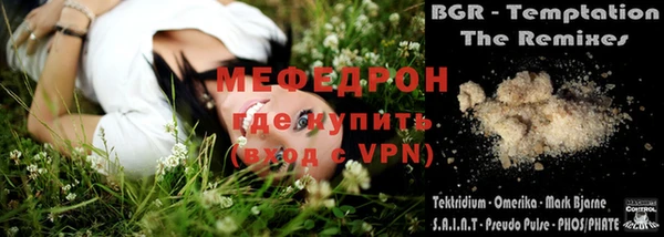 индика Богородск