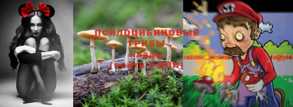 кокаин премиум Богданович