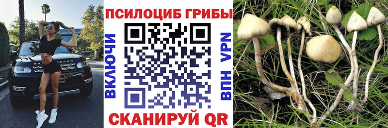 Псилоцибиновые грибы MAGIC MUSHROOMS  Александровское 