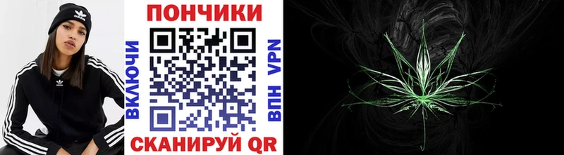 Шишки марихуана ГИДРОПОН  Александровское 